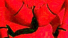 married woman handles a line at the glory hole