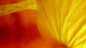 Is My Roommate's Doggy Style Sex Really That Delicious?