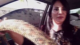 Ever Seen a Brunette Get Pounded by Uber Driver Outdoors?