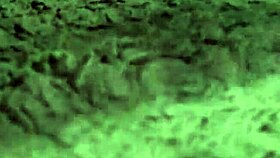 want to cum into her pussy?