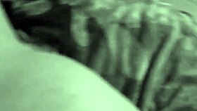 Mexican Adventure Awaits?