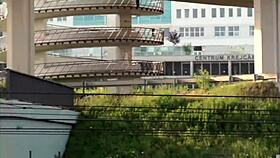 Public threesome Gangbang with two young men