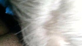 Sexy blonde performs blowjob on cock with cumshot on tits.