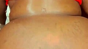 sundaydogood614 update 421 vid 20240821 203646 aug 21 2024