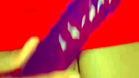 sundaydogood614 update 421 vid 20240821 203646 aug 21 2024