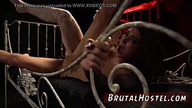 Youthful 18+ Tourists Felicity Feline And Jade Bound In Cowgirl Domination