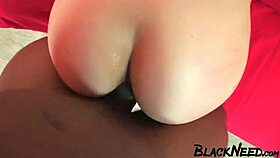 brunette amateur enjoys big black cock in pov