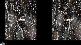 virtual reality porn where chrissy fox dives into her piss