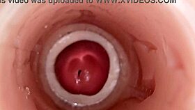 Whoa, camera catches huge sperm blast deep in pussy! 😲