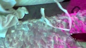 getting entangled in blowjob and kissing with monster cock creampie 😘