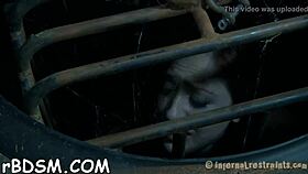 that gagged bondman gets dominated with vibrator and cock sucking