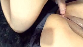 Latina gives rich blowjob with big ass tease