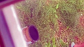 Hot Stepmom Bending Over!