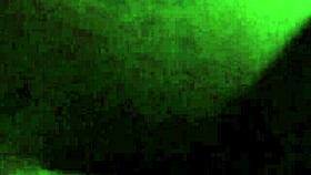 big ass with tight pussy and tattoo