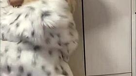 sexy elza kom very sweet dance hot