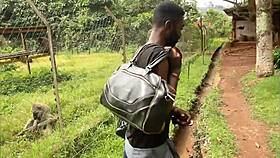 Witness an incredible dance of passion with a couple in black Africa