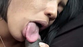 Did I suck the driver's big cock for the ride?