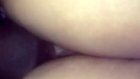 Ebony Redbone Rides Big Black Cock In Reverse Cowgirl