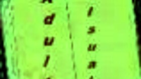 playing harem hotel 325 in the game