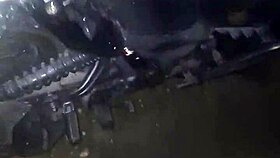 parei a moto meti leite na buceta dela?