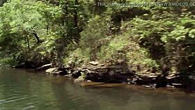 Donnabella says, I'm your sexy bikini babe.