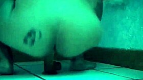 La pandita recibe el a�o caliente y con su juguete favorito ️