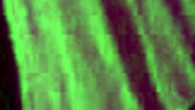 Fucking a Cambodian girl in a hotel, check it out