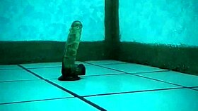 La pandita recibe el a�o caliente y con su juguete favorito ️