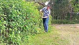 Jardineiro Mega-Dotado Macetando A Pica Grossa Até Gozar