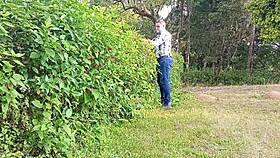 Jardineiro Mega-Dotado Macetando A Pica Grossa Até Gozar