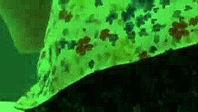 Piss and Pee in My Panties Compilation Madness 😅