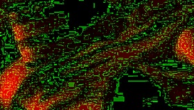 Real Homemade Fucking On Wedding Day