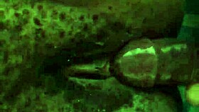 tight nigerian pussy feels intense homemade pleasure with african amateurs