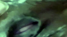 Husband and wife have steamy shower sex on a video call via WhatsApp in 2025.