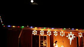 Two sexy brunettes bathe in underwear on the bed during christmas