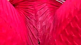 frotando mi co�o a traves de leggins hasta mojarlos delicioso - se moja y habla tan sucio que te hace excitar demasido