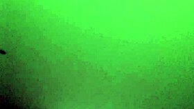 Latina Riding Ass In Mexico City Hotel