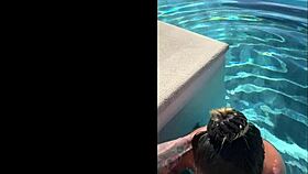Public blowjob at infinity pool in Costa Rica with interracial couple