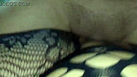 husband fucks latina wife in sexy bodystocking