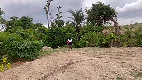 an adventure in the forest