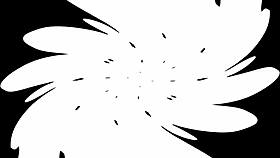 i blasted lainey's shaved pussy with cum in creampie backstage.