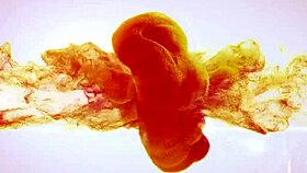 wetandpissy features piss soaked toy play in european solo