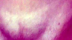 perla negra e o lutador de mma allan guerra gomes