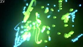 i fist the young girl's ass bareback