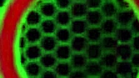 watch sara jay get naked and fuck her huge glass dildo - does it make you cum?