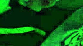 He entered the bedroom and fucked me hard