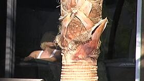 Michelle Thorne Dives Into Lesbian Adventures With Monster Cocks!