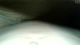 Does The Pretty Shaved Pornstar Love Tight Pussy Fucking And Ass Licking So Much?