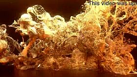 natasha teen 18+ dives into intense anal dap and tap with fisting, squirting wildly from big cock action in a blonde latina slut's gaping adventure