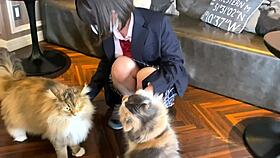 Busty JK in Uniform Sex at Love Hotel After Cat Cafe Date